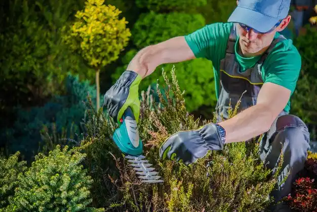 landscaping services Mendon